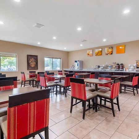 Comfort Suites Keeneland Lexington Ngoại thất bức ảnh