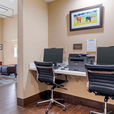 Comfort Suites Keeneland Lexington Ngoại thất bức ảnh