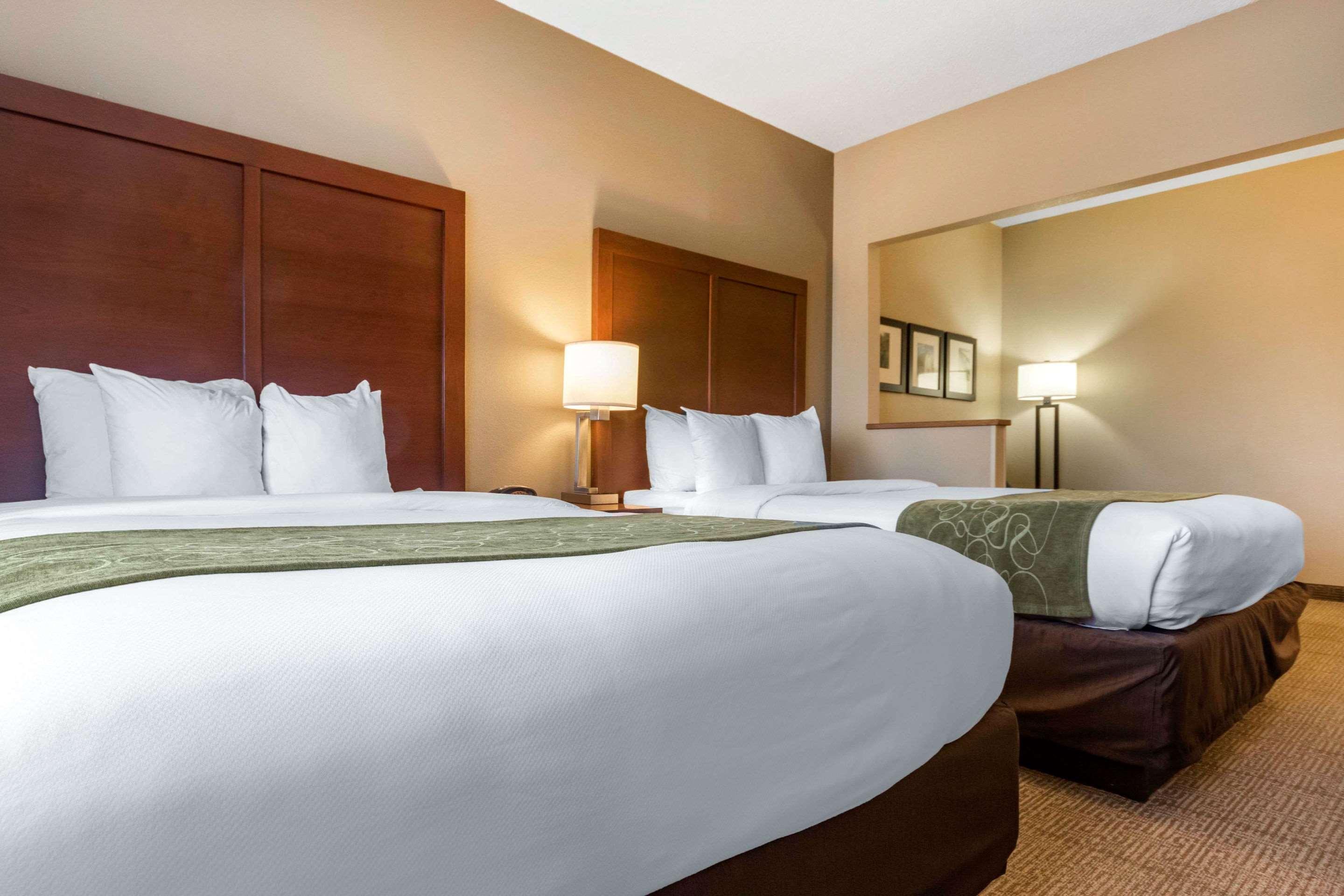 Comfort Suites Keeneland Lexington Ngoại thất bức ảnh