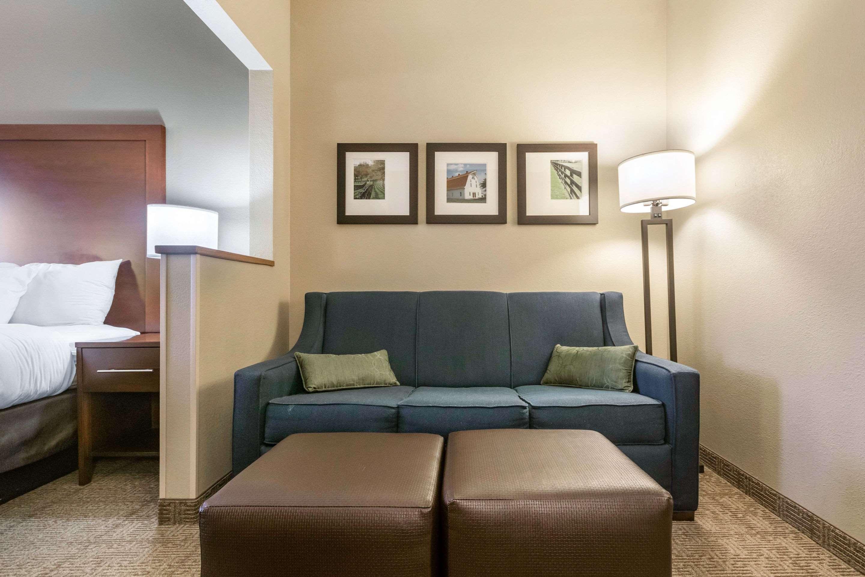 Comfort Suites Keeneland Lexington Ngoại thất bức ảnh