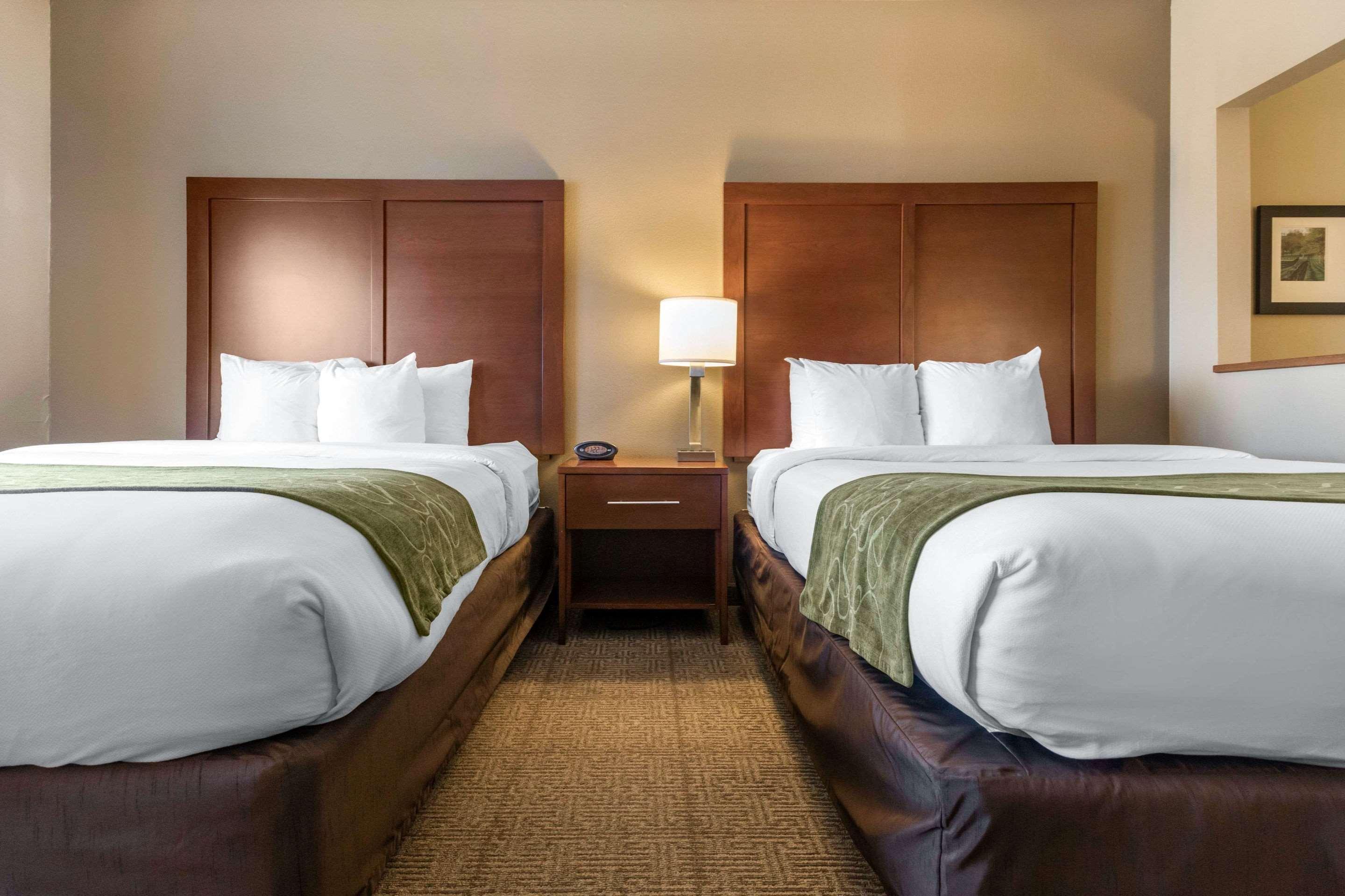 Comfort Suites Keeneland Lexington Ngoại thất bức ảnh