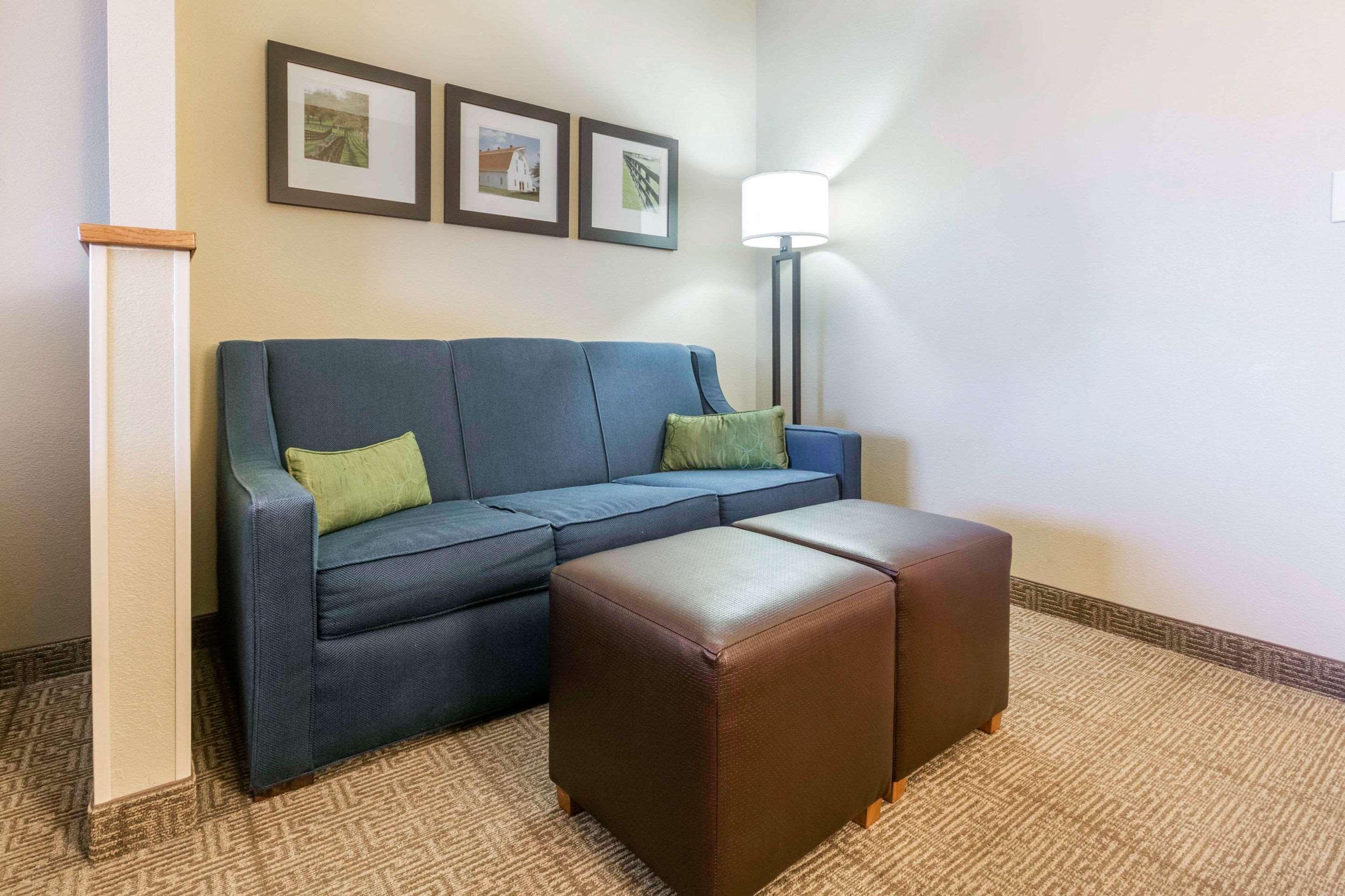 Comfort Suites Keeneland Lexington Ngoại thất bức ảnh