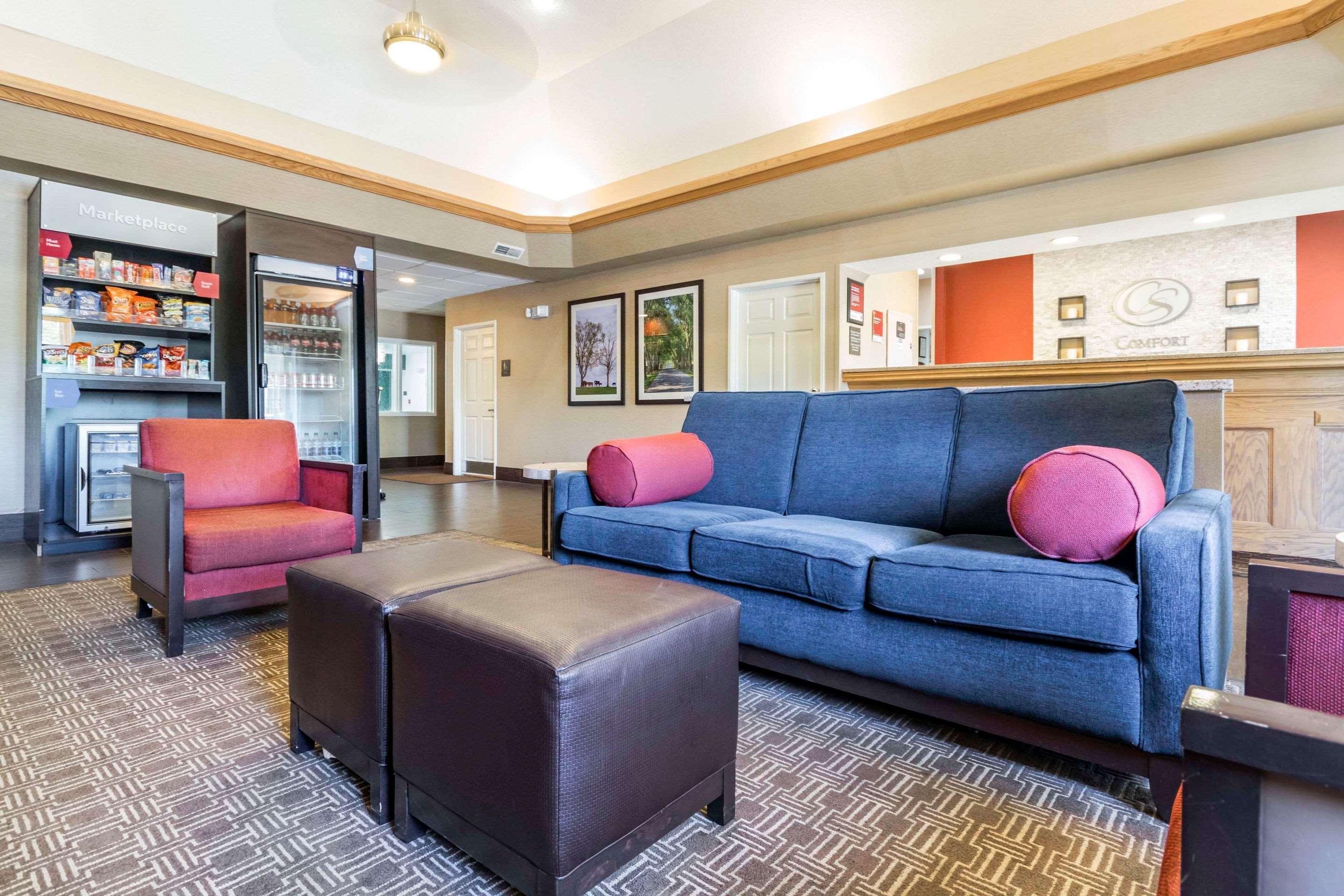 Comfort Suites Keeneland Lexington Ngoại thất bức ảnh