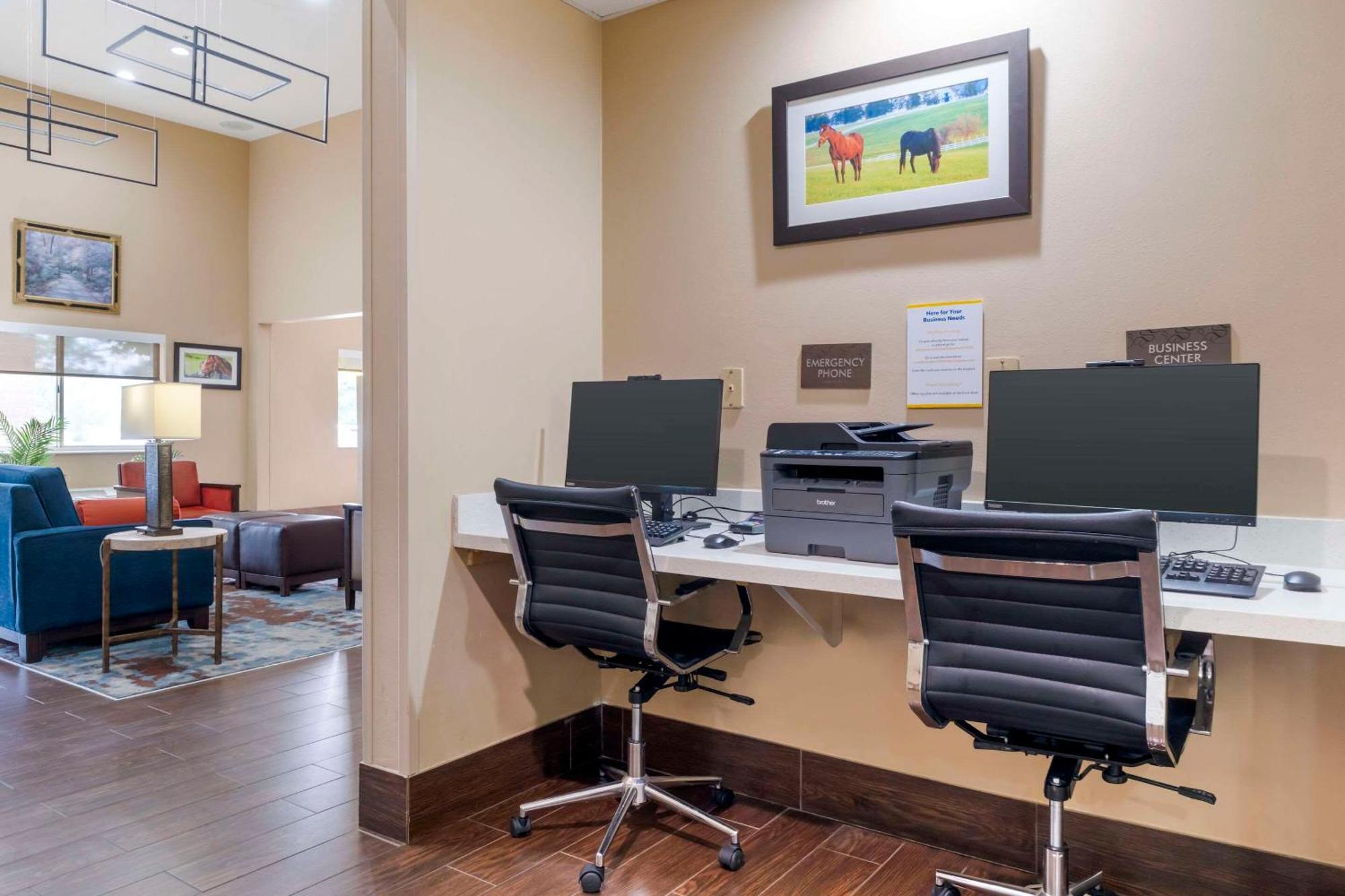 Comfort Suites Keeneland Lexington Ngoại thất bức ảnh